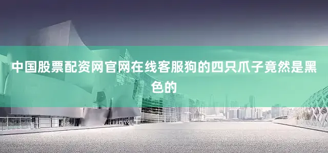 中国股票配资网官网在线客服狗的四只爪子竟然是黑色的
