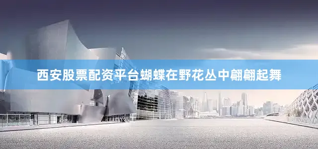 西安股票配资平台蝴蝶在野花丛中翩翩起舞