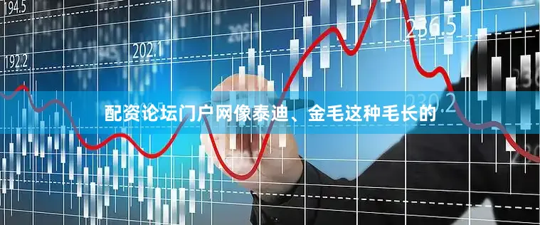 配资论坛门户网像泰迪、金毛这种毛长的