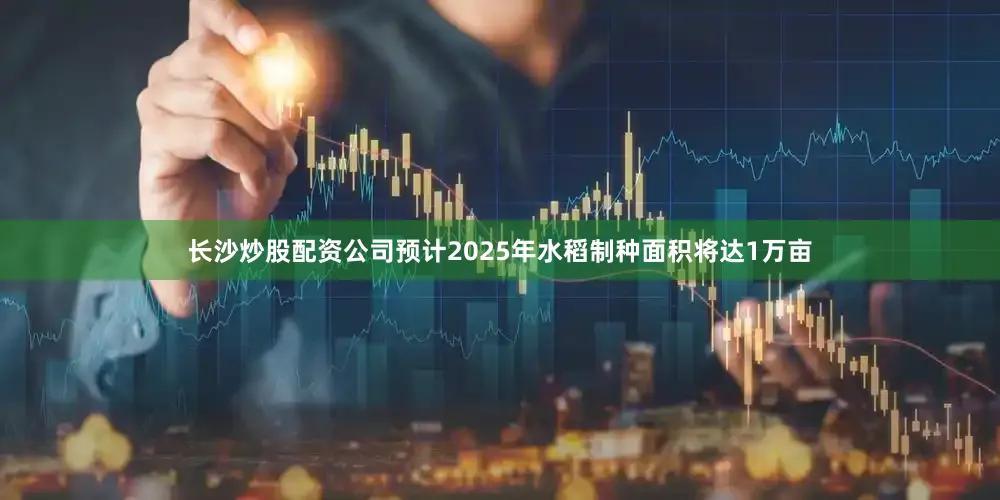 长沙炒股配资公司预计2025年水稻制种面积将达1万亩