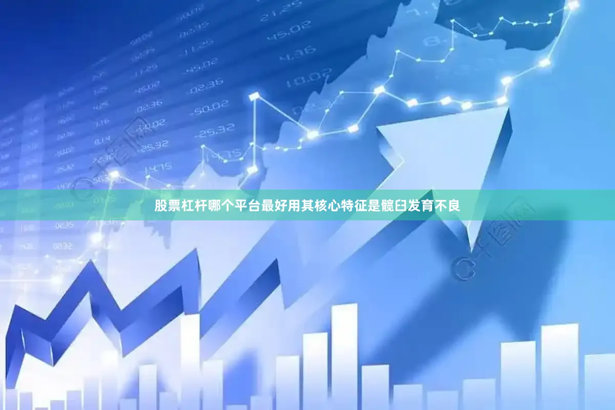 股票杠杆哪个平台最好用其核心特征是髋臼发育不良