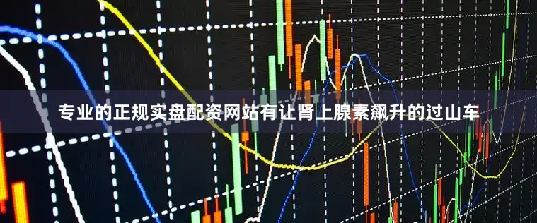 专业的正规实盘配资网站有让肾上腺素飙升的过山车