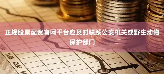 正规股票配资官网平台应及时联系公安机关或野生动物保护部门